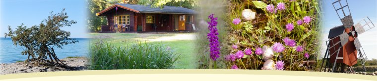 Gr&ouml;nkullen - &Ouml;land